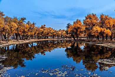 任天堂Switch日服举办新年特卖 12月28日开启